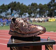 The Golden Shoe